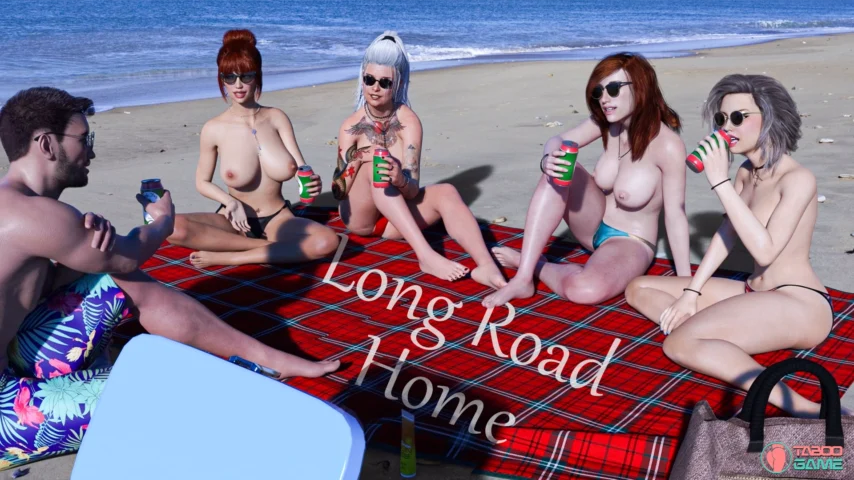 Long Road Home poster